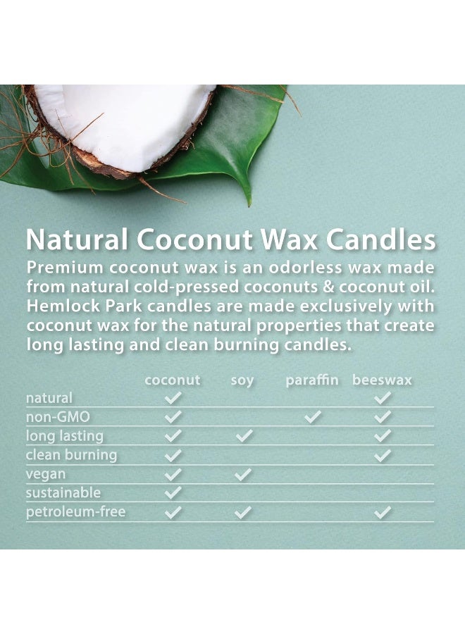 Hemlock Park Crackling Wood Wick Candle Handcrafted with Organic Coconut Wax and Essential Oils (Eucalyptus Mint, Standard 8 oz) - Image 4